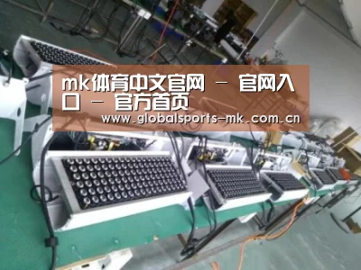 mk体育平台首页案例展示一