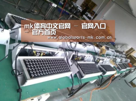 mk体育平台首页案例展示一(图1)