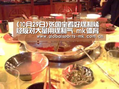 (10月29日)张国宝看好煤制烯烃反对大量用煤制气_mk体育(图3) mk体育app